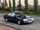 Mercedes-Benz E 260 - blaue Mercedes-Benz 260