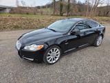 Jaguar XF 5.0 V8 Leder SHZ Kamera Navi - Jaguar: 8