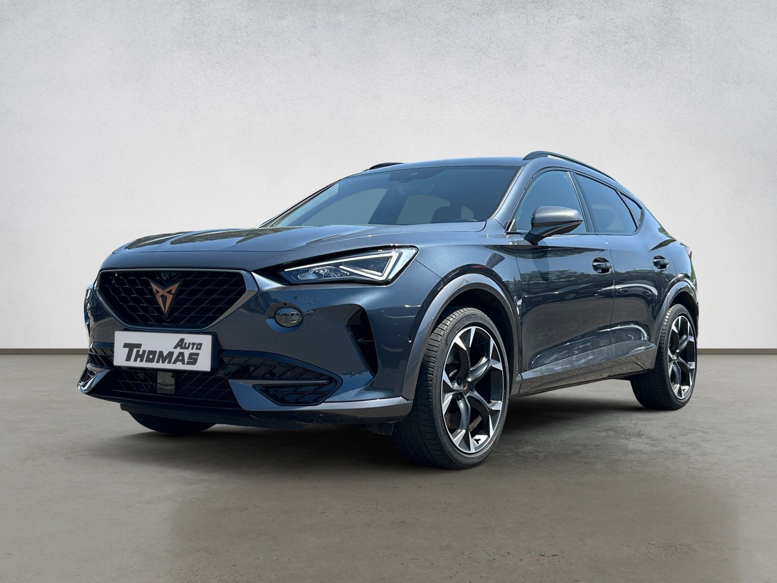 Cupra Formentor VZ 4Drive 2.0TSI DSG 310PS imagem 3