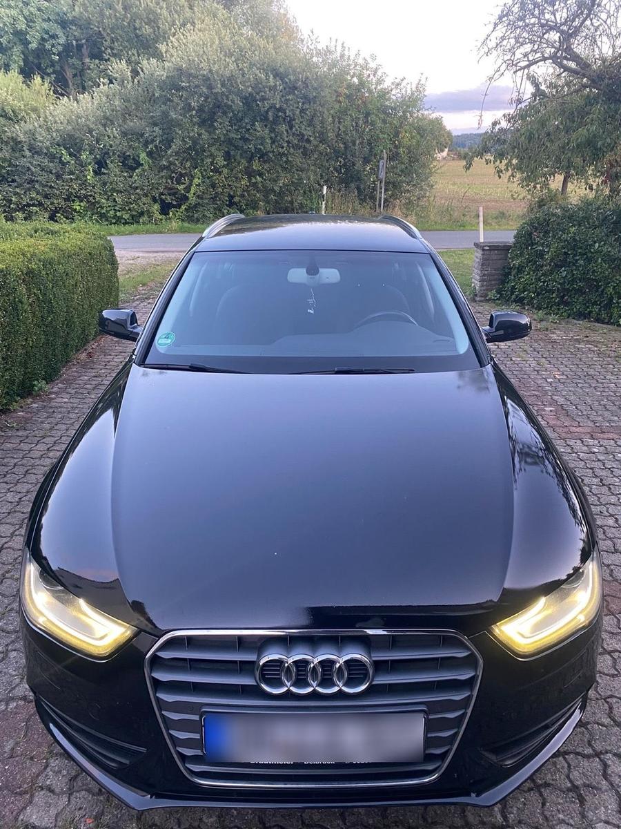Audi A4 2013 — вигляд ззаду
