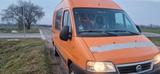 Fiat Ducato 4x4 2,8 JTD Dangel TÜV NEU - gebrauchte Fiat Ducato aus dem Jahr 2005