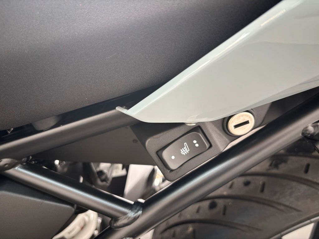 Fahrzeugabbildung BMW R 1250 R *1. HAND *VIEL AUSSTATTUNG