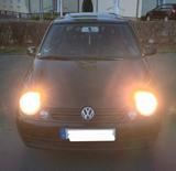 Volkswagen Lupo 1.4 College Top Zustand - Volkswagen Lupo College mit Benzin-Antrieb