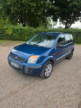 Ford Fusion - Ford Fusion Gebrauchtwagen in Ludwigshafen