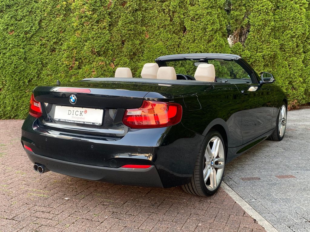 Fahrzeugabbildung BMW 220 d Cabrio M Sport/M Paket XEN+PROF+LEDER+SHZ+