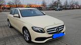 Mercedes-Benz E 220 d Autom. - - Mercedes-Benz E 220 mit Diesel-Antrieb: Taxi, Limousine