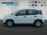 Fiat Panda MY24 Hybrid 1.0 GSE 70PS KLIMAANLAGE*RADIO - Fiat Panda Gebrauchtwagen