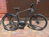 Trenoli Tanaro CX Spotivo M Bosch, Shimano Nexus,LED - Trenoli E-Bikes