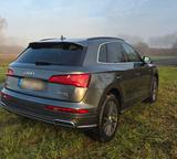 Audi Q5 40 TDI S tronic quattro - - Audi Q5 in Karlsruhe