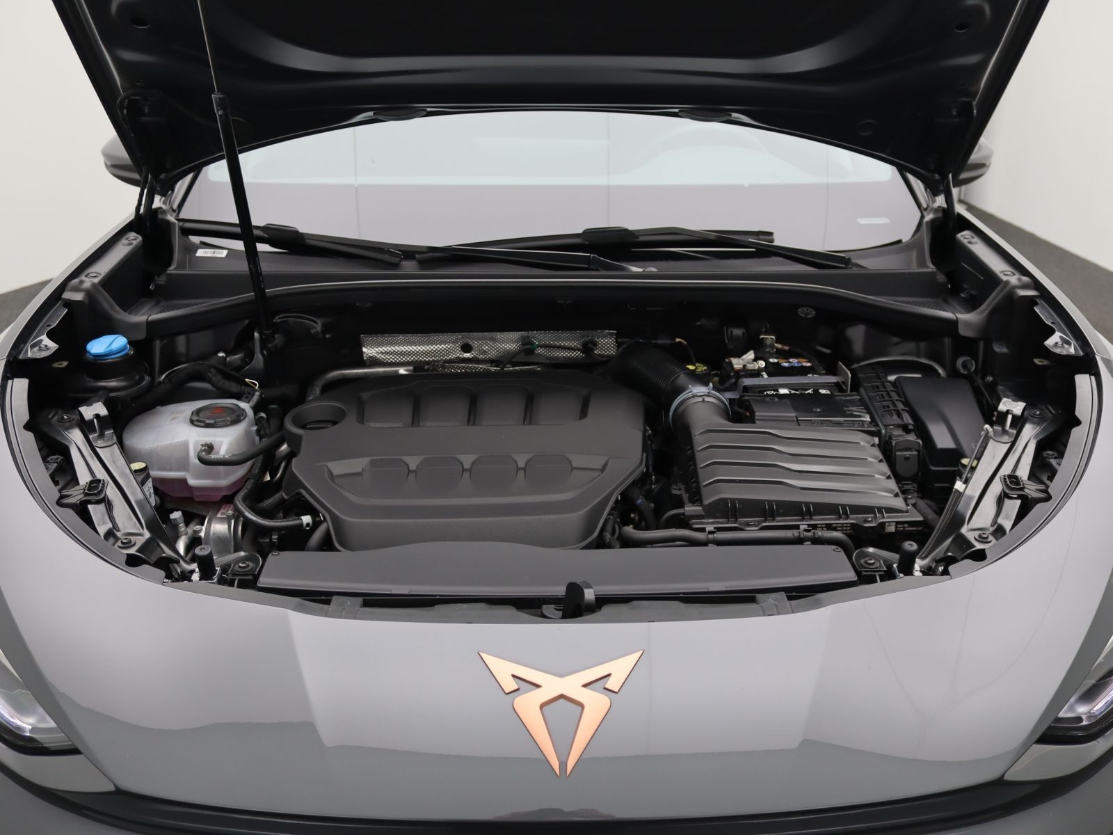 Cupra Terramar - Bild 17