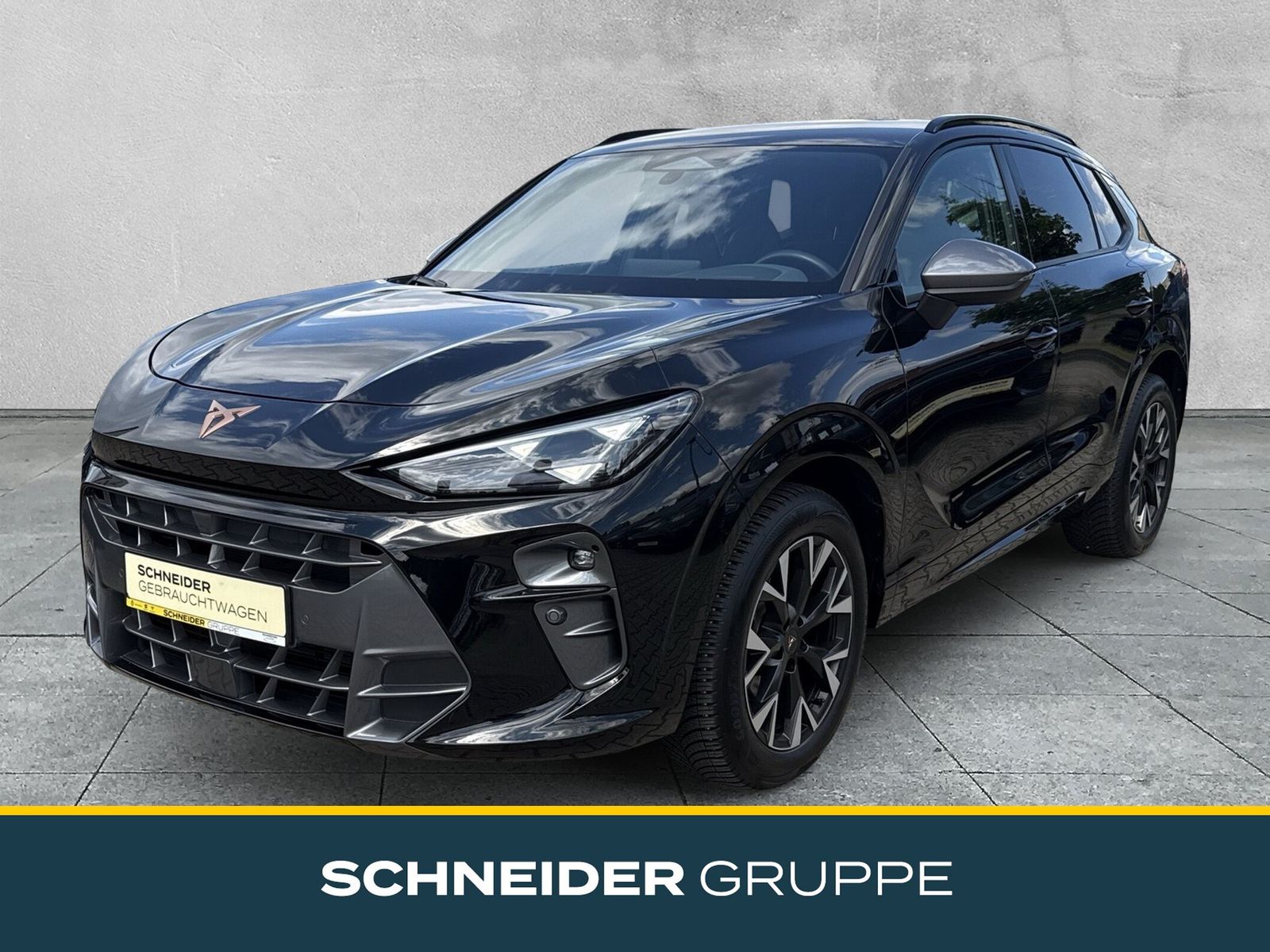 Cupra Cupra Terramar 1.5 eTSI 110 kW DSG SHZ+LED+AHZV+AC