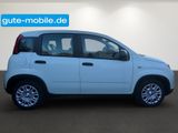 Fiat Panda Pandina Hybrid MY25 70PS  - Fiat Panda Tageszulassungen mit Benzin-Antrieb: Limousine