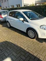 Fiat punto 1,3 diesel mit 84 PS - Fiat Punto in Oberhausen