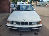 BMW 525i - BMW 525 aus 1989
