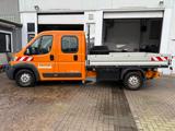 Fiat Ducato Maxi Pritsche/Kipper Doppelk. 35 130 L4 P - Fiat Kühlkastenwagen