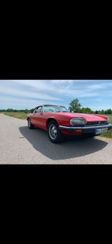Jaguar XJSC - Jaguar XJSC Gebrauchtwagen