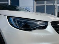 Opel Grandland X 2.0 CDTI Aut. INNOVATION NAV KAM AHK bei Autohaus Landmann & Maier OHG