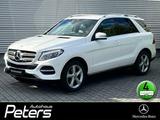 Mercedes-Benz GLE 350 d 4Matic Airmatic Sitzklima/Distr/AHK/IL - gebrauchte Mercedes-Benz GLE 350 aus dem Jahr 2017