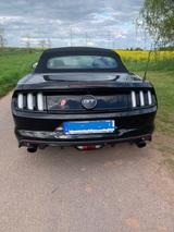 Ford Mustang 5.0 Ti-VCT V8 GT GT - Ford Mustang Gebrauchtwagen in Frankfurt