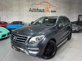 Mercedes-Benz ML 350/BlueEfficiency/LED/360*/TOTW/SHZ/SPURH/ - Mercedes-Benz mit Benzin-Antrieb: Ml