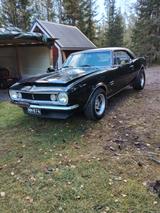 Chevrolet Camaro - gebrauchte Chevrolet Camaro aus dem Jahr 1967