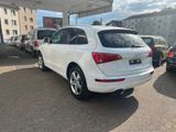 Audi Q5 2.0 TDI  quattro Navigation-Leder Sitze - Audi Q5 aus 2009