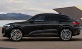 Audi SQ5 TFSI S Line ed. one TechPro Luft Nappa Pano - Audi SQ5 Tageszulassungen