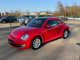 Volkswagen Beetle Lim. Design BMT Panoramadach - Volkswagen Beetle: Kleinwagen