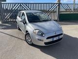Fiat Punto 1.2 benzina 69cv 5 porte Street - Fiat Punto: 1.6