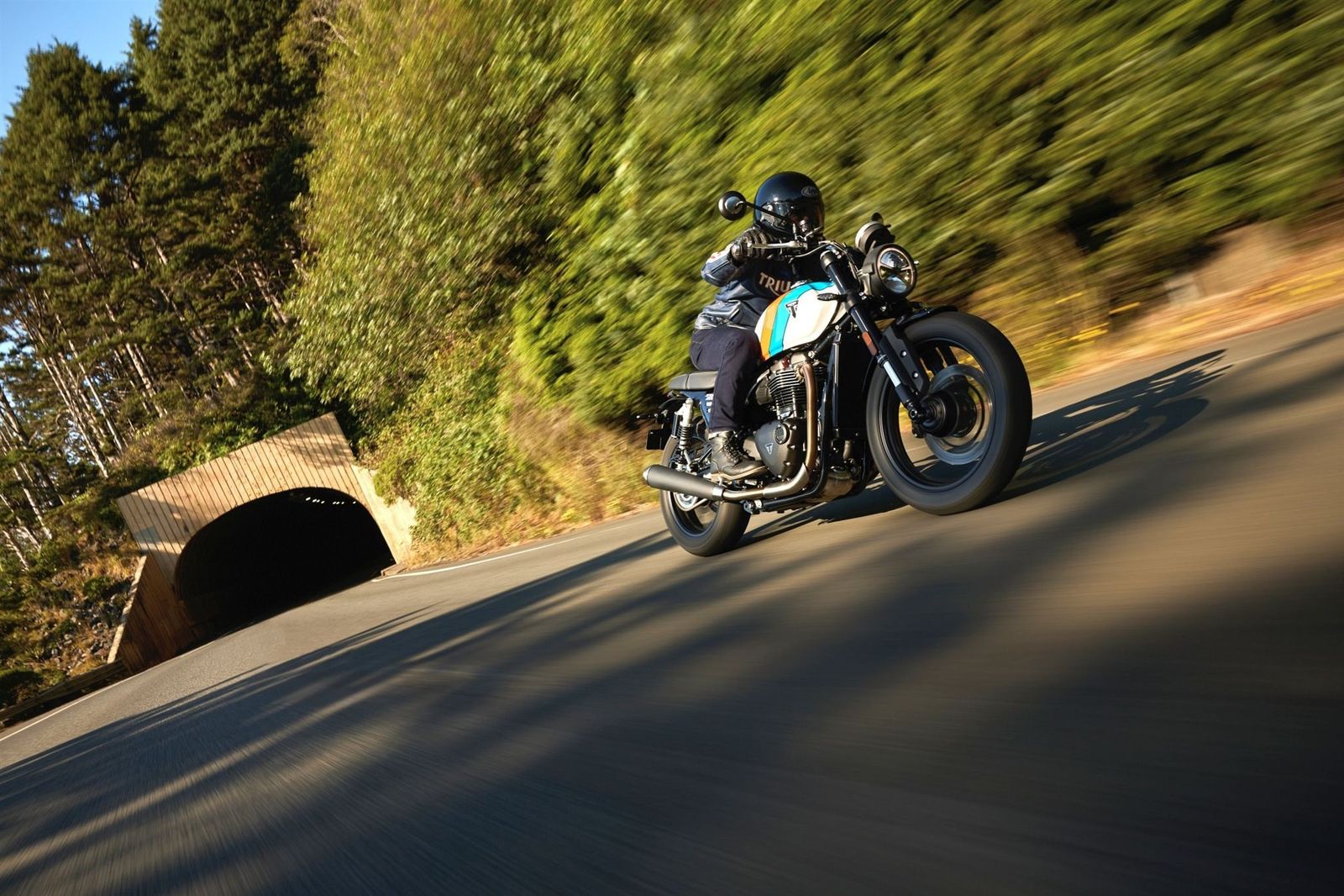 Fahrzeugabbildung Triumph Speed Twin 900