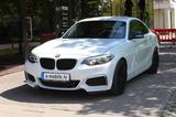 BMW 228i Coupe TOP Zustand, EU Zulass., VAT Incl. - BMW 228
