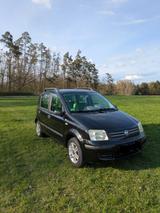 Fiat Panda 169 (Sondermodell) - Alessi Sitze - Fiat Panda: Alessi