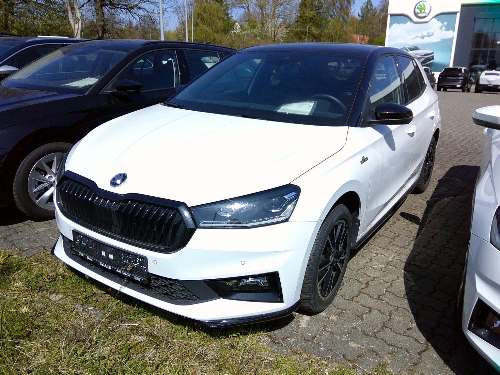 Skoda Fabia Monte Carlo Navi Amundsen/16"Alu