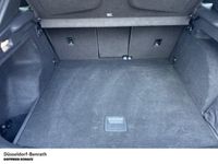 Cupra Terramar - Vorschau Bild 8