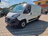 Fiat FIAT FIAT DUCATO (PC) 30 CH1 2.3 MULTIJET 120CV  - Fiat Ducato 120 multijet