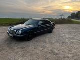 Mercedes-Benz Mercedes E 50 AMG W210 v8 - Mercedes-Benz E 50: AMG