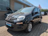 Fiat Panda Lounge KLIMA BT DAB 5 SITZER - Fiat Panda: Sitzer