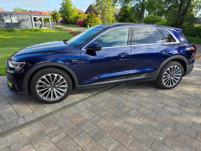 AUDI e-tron 50 quattro, 1 Jahr Garantie,ACC, Pano,RFK