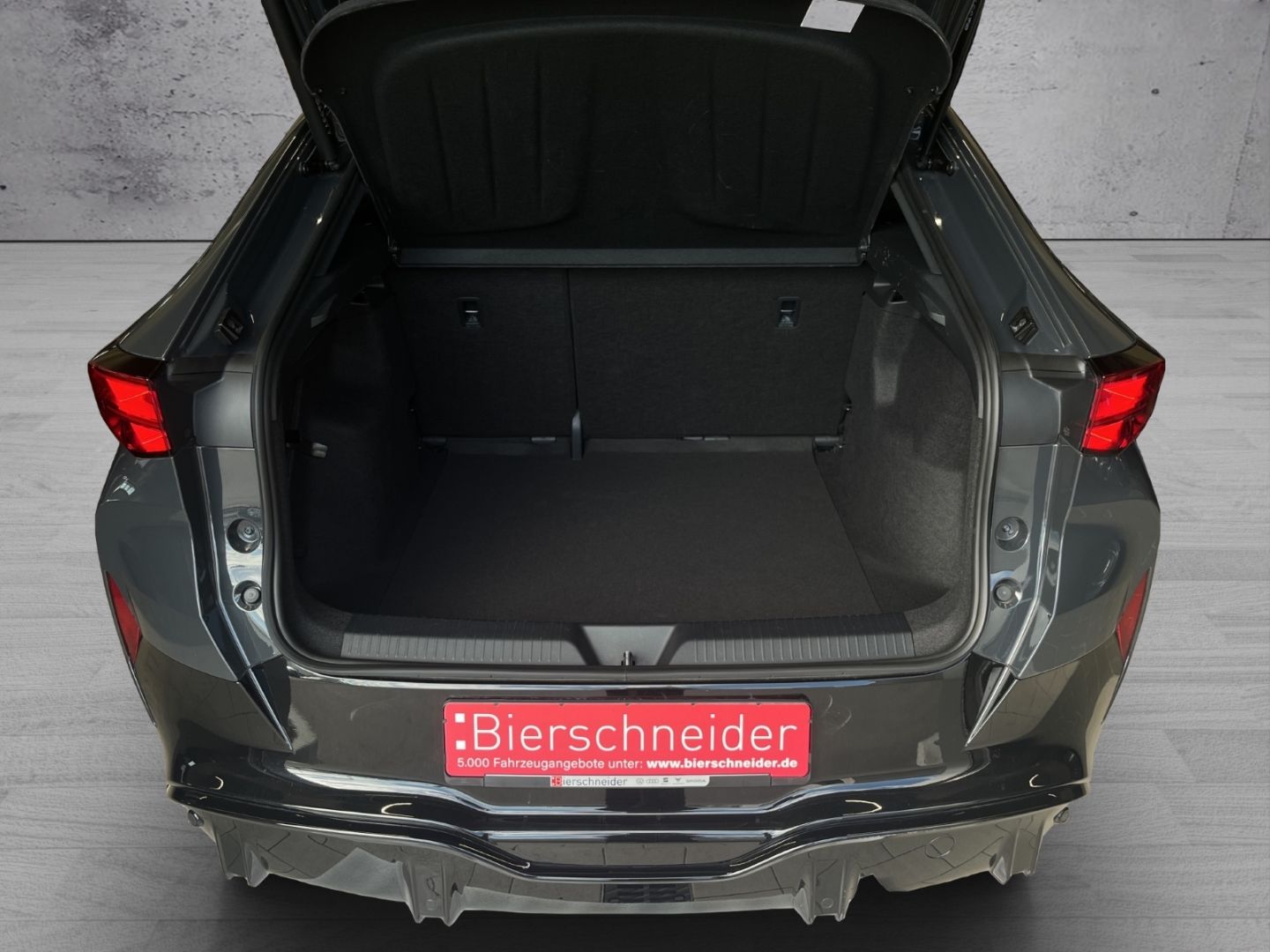 Cupra Tavascan - Bild 18