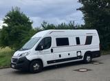 Roller Team Livingstone Duo Sport 2021 - Roller Team Kastenwagen