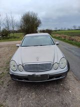 Mercedes-Benz E 270 CDI ELEGANCE  - Mercedes-Benz E 270: Cdi Elegance