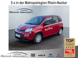 Fiat Pandina 1.0 GSE DAB Spurhalteass. Verkehrszeiche - Fiat New Panda Tageszulassungen