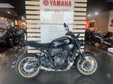 Yamaha XSR700 TZ MY2024 36M Garantie  - YAMAHA TZ