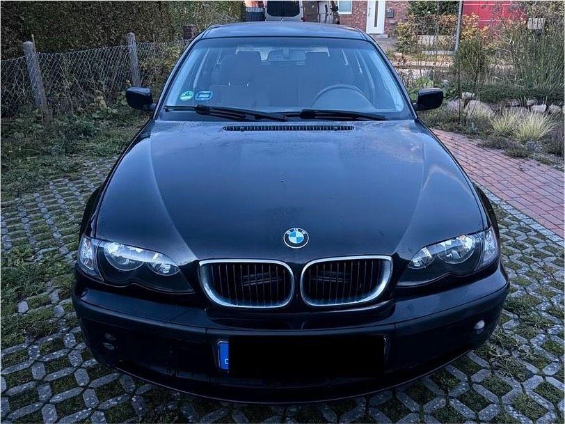 BMW 320 2004 — вигляд ззаду