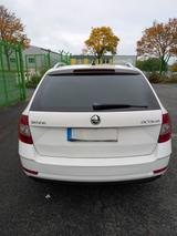 Skoda Octavia 2.0 TDI Green tec DSG Elegance Combi... - Skoda Octavia: Combi Elegance TDI