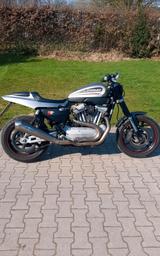 Harley-Davidson XR 1200 - Offers