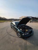 BMW E39 M5 Oxford Grün Originalzustand - BMW M5: E39