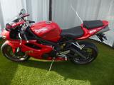 Triumph Daytona 675 - TRIUMPH 675