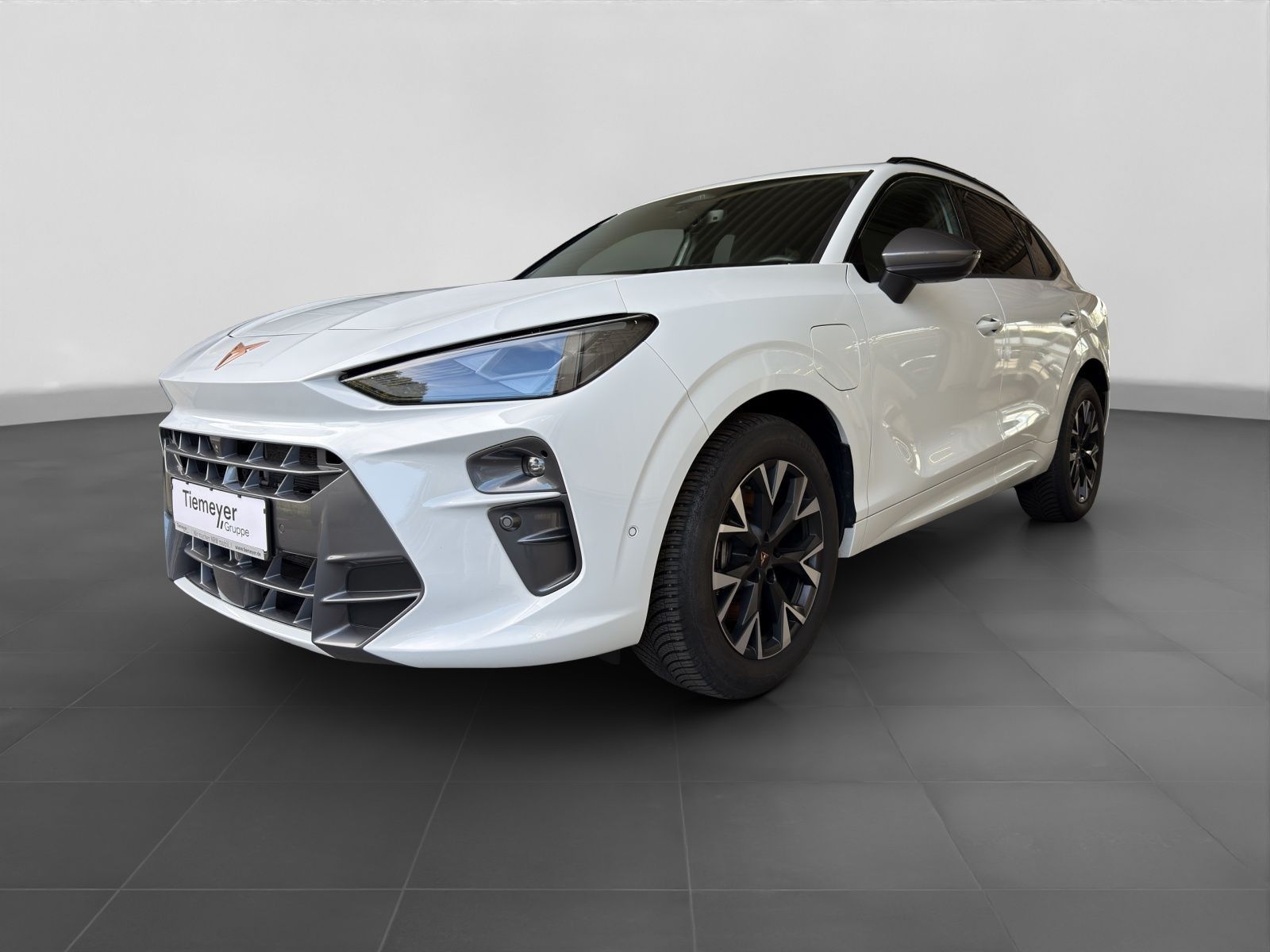 Cupra Terramar - Bild 2