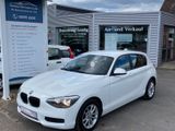 BMW 116/5-trg./Navi/Alu/Klima/Keyless Go/PDC/Sitzhe. - BMW 1er Reihe: Weiß